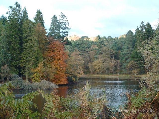 214245319xfVwLP_ph[1].jpg - Colourful trees